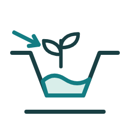 Rain garden icon